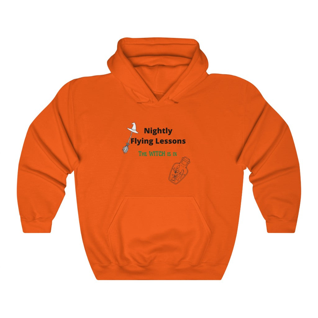 "Nightly Flying Lessons" Unisex Heavy Blend™ Hooded Sweatshirt